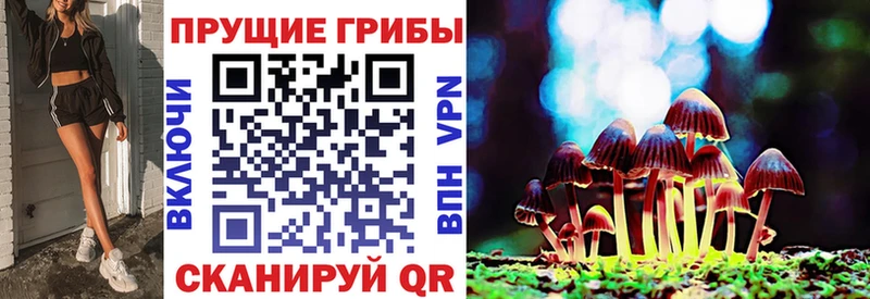 Галлюциногенные грибы Psilocybe  ссылка на мегу зеркало  Петров Вал  наркотики 
